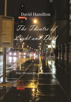 Theatre of Light and Dark (eBook, ePUB) - Hamilton, David