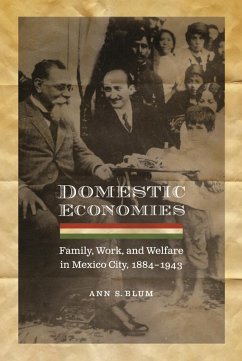 Cover Domestic Economies (eBook, PDF)