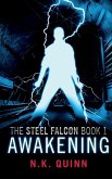 The Steel Falcon Book1