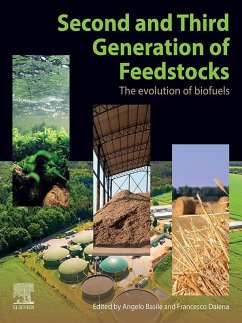 Second and Third Generation of Feedstocks (eBook, ePUB)