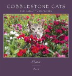 Cobblestone Cats - Lima