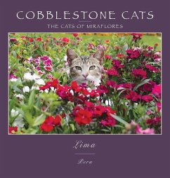 Cobblestone Cats - Lima
