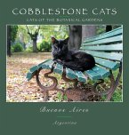 Cobblestone Cats - Buenos Aires