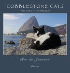 Cobblestone Cats - Rio de Janeiro