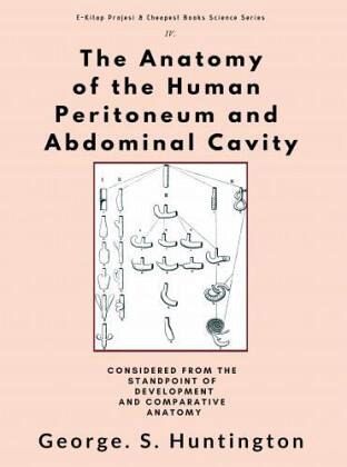 The Anatomy of the Human Peritoneum and Abdominal Cavity