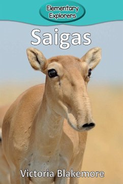 Saigas - Blakemore, Victoria