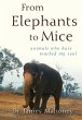 From Elephants to Mice - Bild 1
