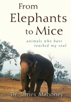 From Elephants to Mice - Mahoney, James