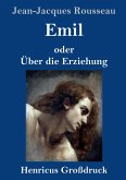 Emil oder Über die Erziehung (Großdruck)