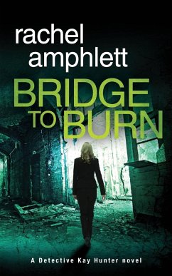 Bridge to Burn - Amphlett, Rachel