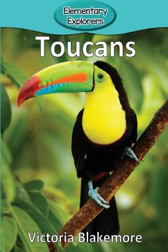 Toucans - Blakemore, Victoria