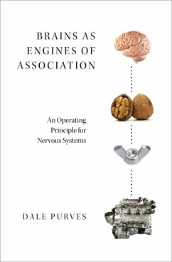 Brains as Engines of Association (eBook, PDF) - Purves, Dale