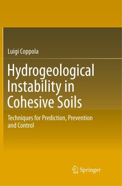 Hydrogeological Instability in Cohesive Soils - Coppola, Luigi