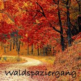 Waldspaziergang: Naturgeräusche und Meditationen (ohne Musik) zur Entspannung von Körper und Geist (MP3-Download)