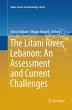 The Litani River, Lebanon: An... - Bild 1