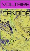 Candide (eBook, ePUB)