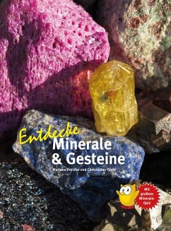 Entdecke Minerale und Gesteine - Dreizler, Marlene;Giehl, Christopher