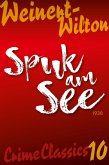 Spuk am See (eBook, ePUB)