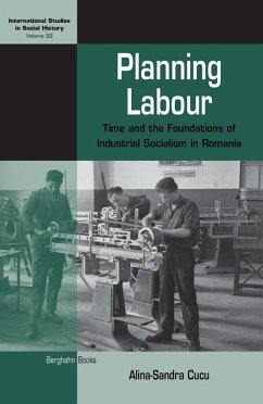 Planning Labour (eBook, ePUB) - Cucu, Alina-Sandra