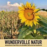 Wundervolle Natur: Naturgeräusche (ohne Musik) zum Entspannen, Regenerieren und Einschlafen (MP3-Download)