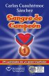 Sangre de campeón (eBook, ePUB) - Bild 1