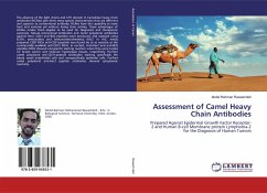 Assessment of Camel Heavy Chain Antibodies