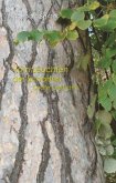 Vom Leuchten der Schatten Vom Leuchten der Schatten
