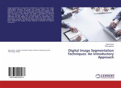 Cover Digital Image Segmentation Techniques: An Introductory Approach