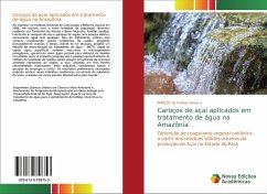 Caroços de açaí aplicados em tratamento de água na Amazônia