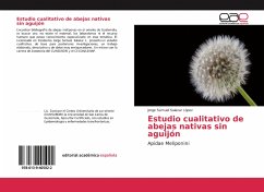 Estudio cualitativo de abejas nativas sin aguijón - Salazar López, Jorge Samuel