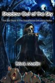 Shadow Out of the Sky (Transitional Delusions Series, #1) (eBook, ePUB)