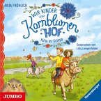 Kühe im Galopp / Wir Kinder vom Kornblumenhof Bd.3 (1 Audio-CD)