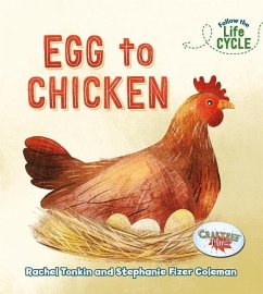 Egg to Chicken - Tonkin, Rachel