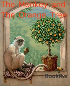 The Monkey and The Orange Tree (eBook, ePUB) - Jacobsen, Heidi