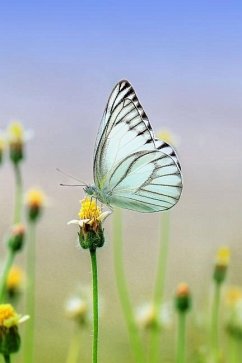 White Butterfly - Journals, Planners And