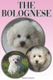 The Bolognese