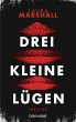 Drei kleine Lügen (eBook, ePUB) - Bild 1