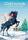 Weihnachten auf Kaltenbach / Ostwind für Erstleser Bd.4 (eBook, ePUB)