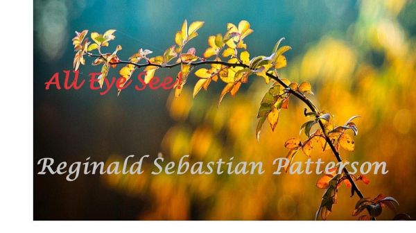 All Eye See! (eBook, ePUB)