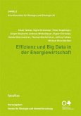 Effizienz und Big Data in der Energiewirtschaft