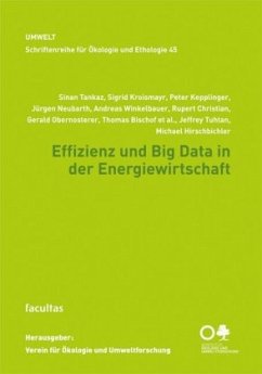 Cover Effizienz und Big Data in der Energiewirtschaft