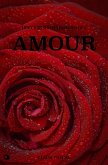 Discours sur les passions de l&quote;Amour (eBook, ePUB)