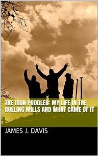 The Iron Puddler: My Life in the Rolling Mills and What Came of It (eBook, PDF) - J. Davis, James