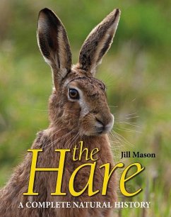 The Hare - Mason, Jill