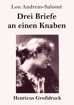 Drei Briefe an einen Knaben (Großdruck) - Andreas-Salomé, Lou