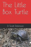 The Little Box Turtle