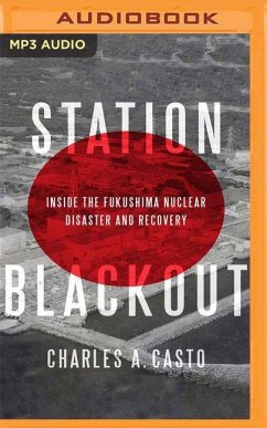 Station Blackout: Inside the Fukushima Nuclear Disaster and Recovery - Casto, Charles A.