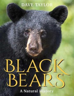 Black Bears - Taylor, Dave