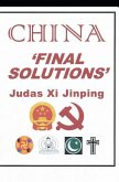 China 'final Solutions'