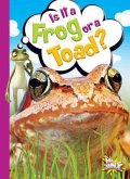 Is It a Frog or a Toad?